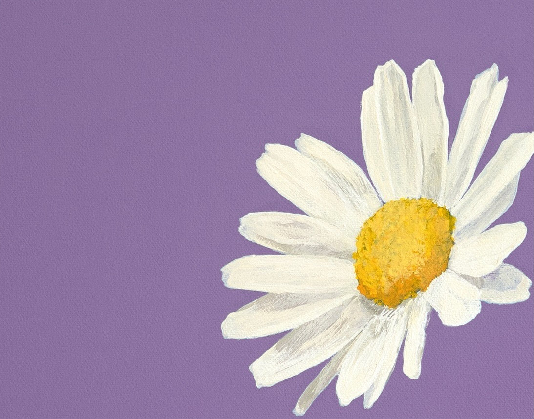 White daisy with yellow center in Okay Bouquet 08 for a vibrant florist alternative. Painted by Jahn Page, Okay Bouquet series.