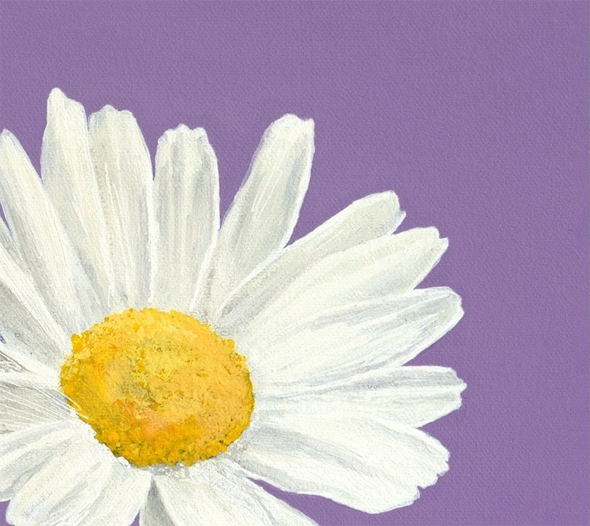 White daisy with yellow center in Okay Bouquet 08 for a vibrant florist alternative. Painted by Jahn Page, Okay Bouquet series.