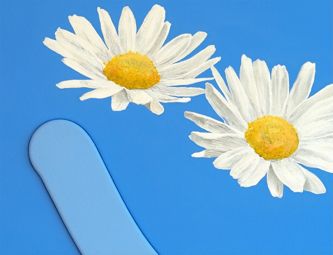Two white daisies in Okay Bouquet 08, perfect for color therapy and inspiring decor. Painted by Jahn Page, Okay Bouquet series.