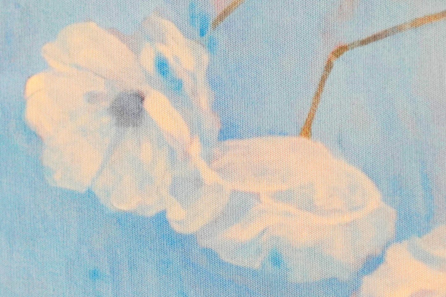 Close-up of a white flower with a blue background